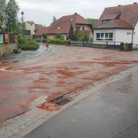 olspur_4.jpg