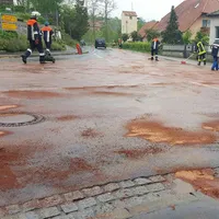 olspur_5.jpg