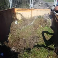 20190420_172642.jpg