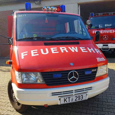 tsf_1.jpg