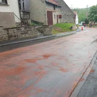olspur_3.jpg